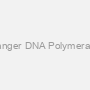 Ranger DNA Polymerase